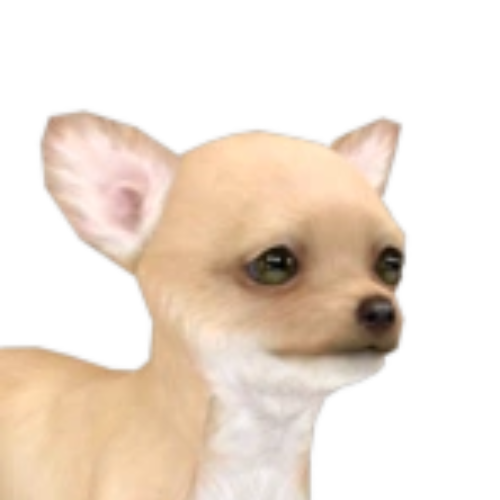sample dog base image for emote